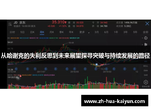 从哈谢克的失利反思到未来展望探寻突破与持续发展的路径